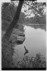 Tar River 